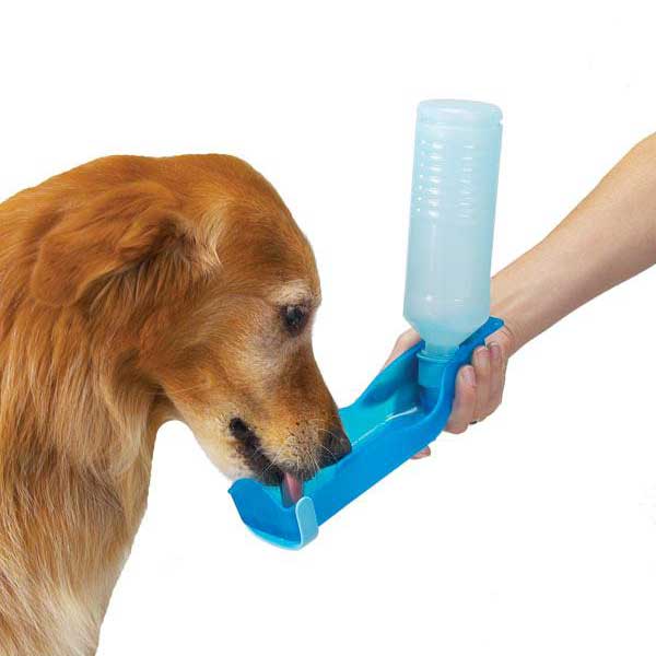 Handi Drink Waterers