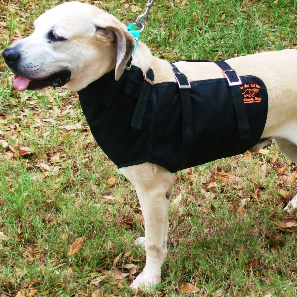 Bay Head Hog Dog Cut Vest Full – Hunting Dog Supply