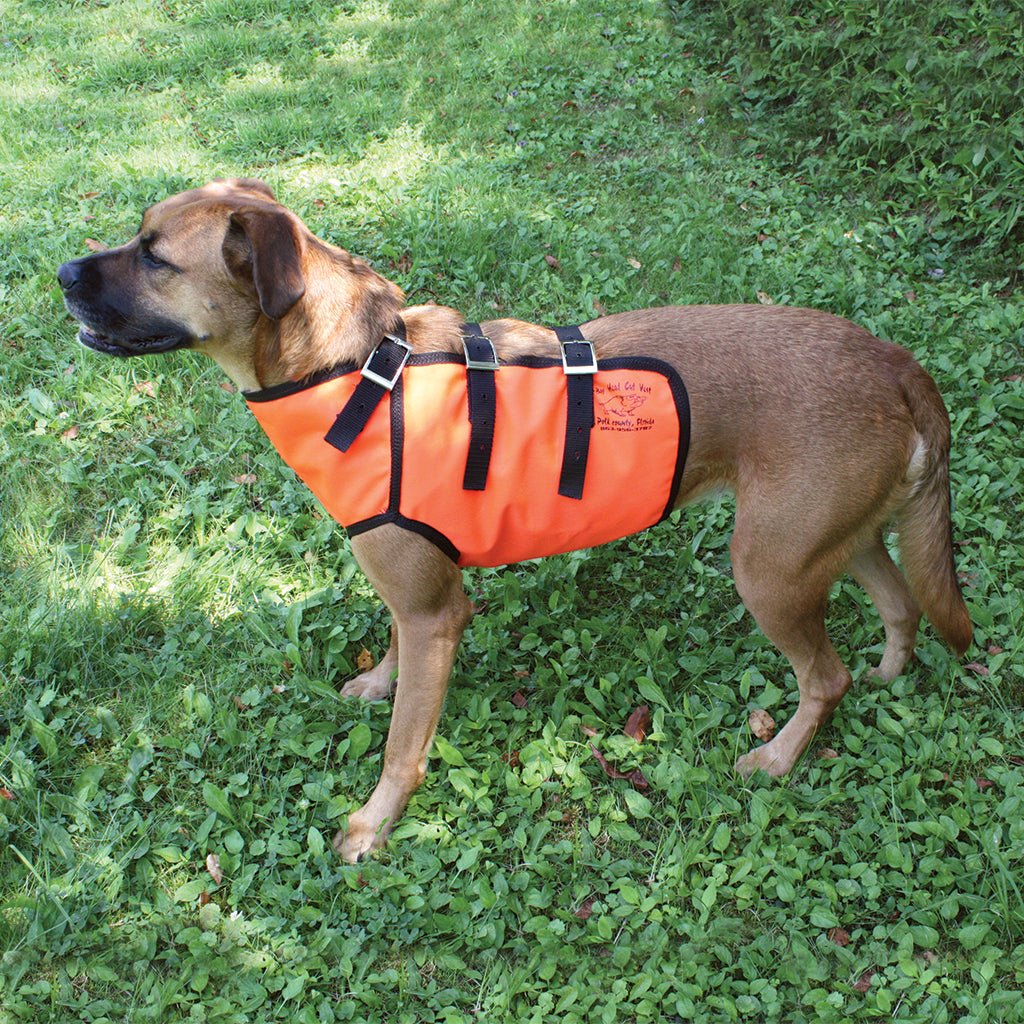 Bay Head Hog Dog Cut Vest Regular – Hunting Dog Supply