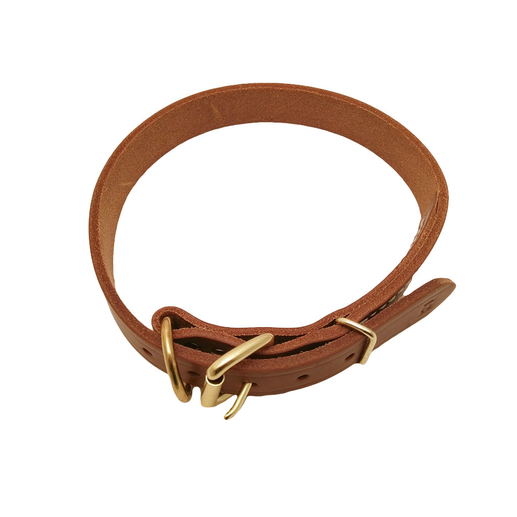 LCS Grand National Championship 1" D-Ring Collar