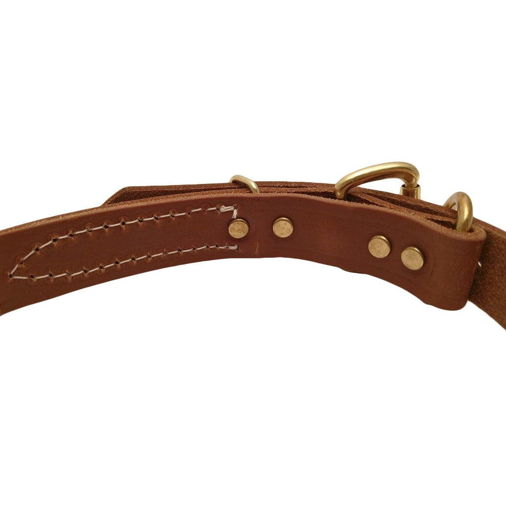 LCS Grand National Championship 1" D-Ring Collar