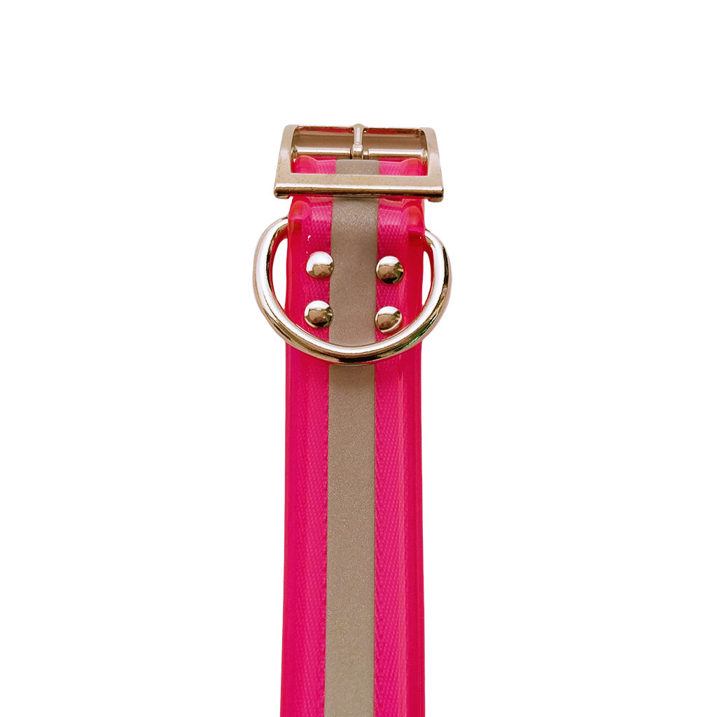 LCS Reflective Dayglo 1 1/2 Wide Dog Collar