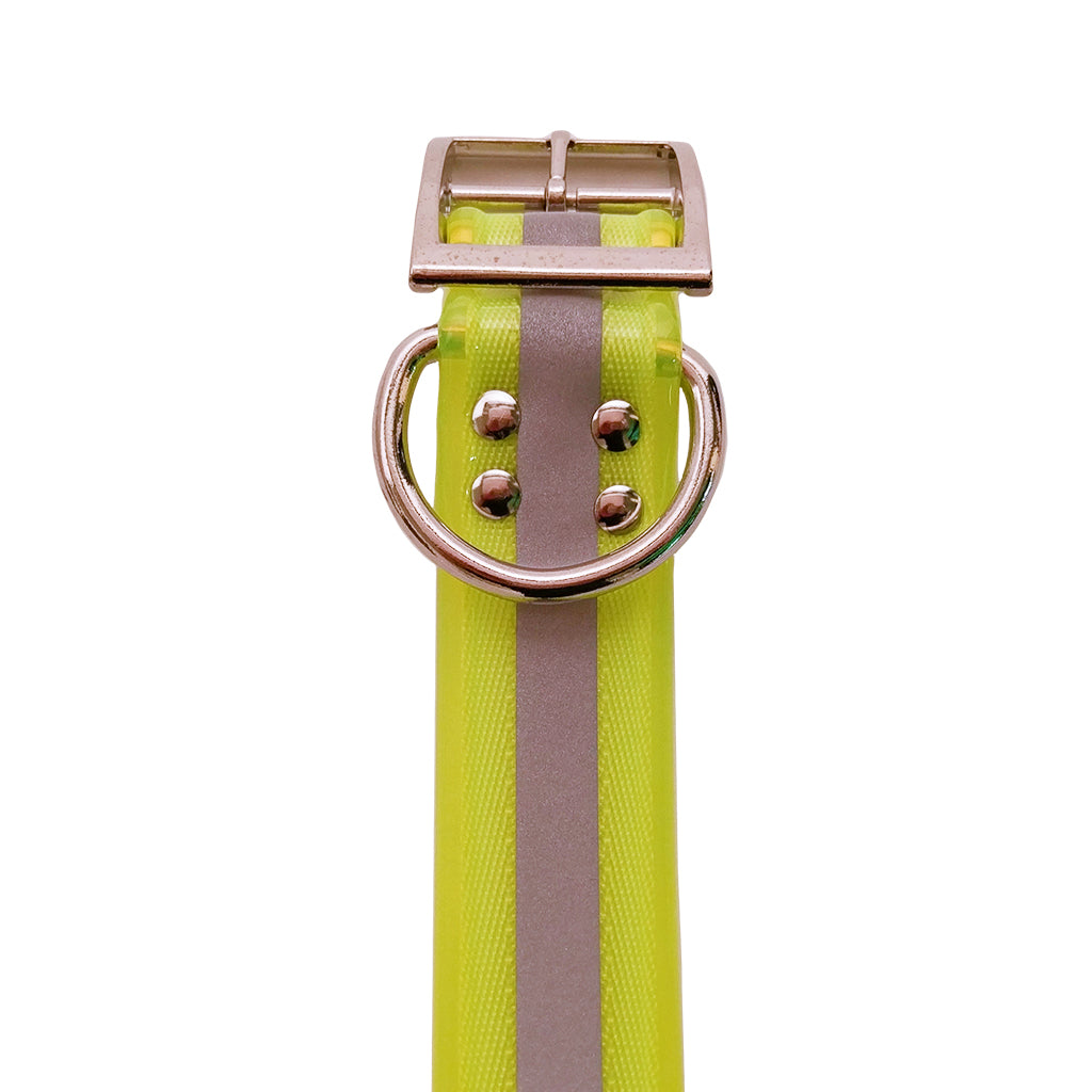 LCS Reflective Dayglo 1 1/2 Wide Dog Collar