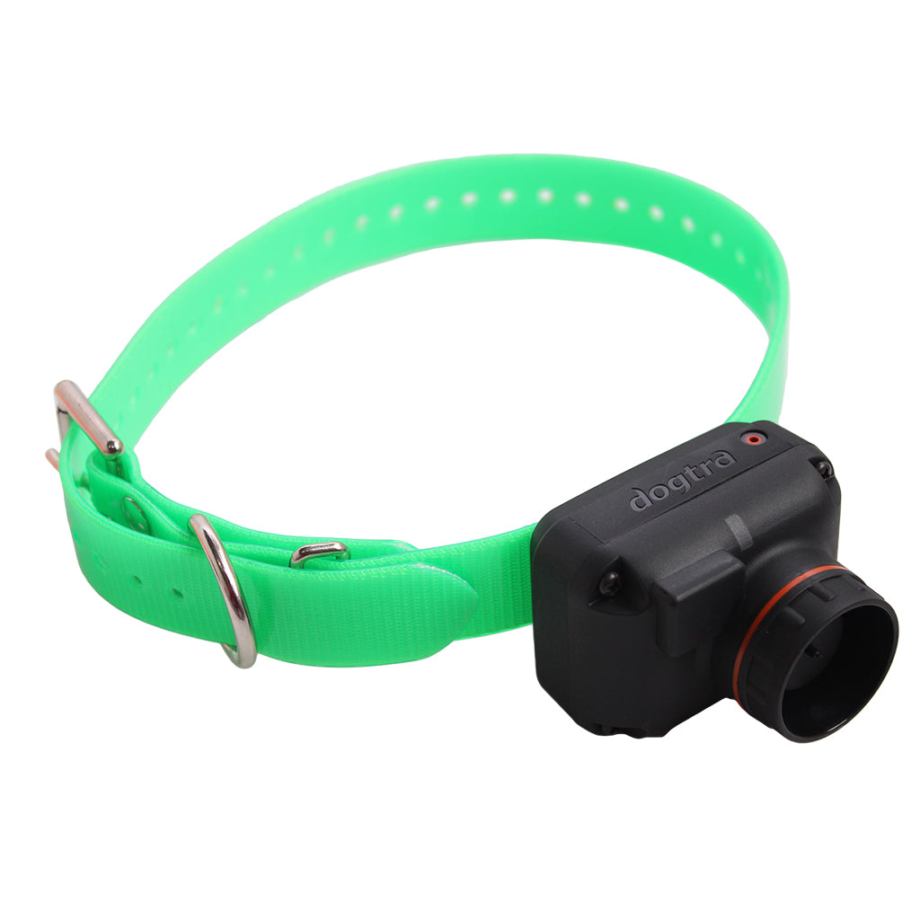 Dogtra T&B Dual 2-Dog Training Collar