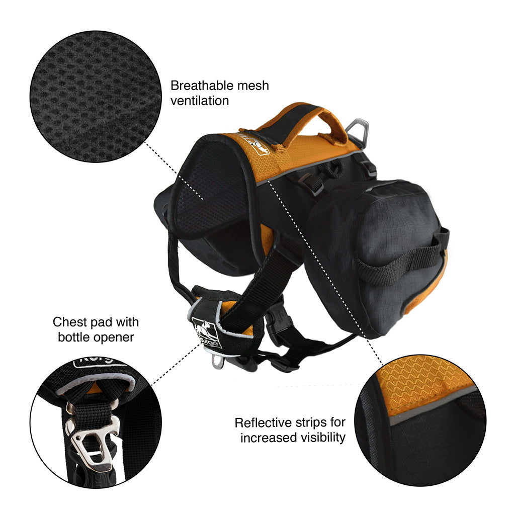 Kurgo Big Baxter Backpack