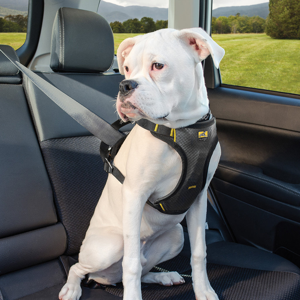 Kurgo Impact Dog Seatbelt Harness