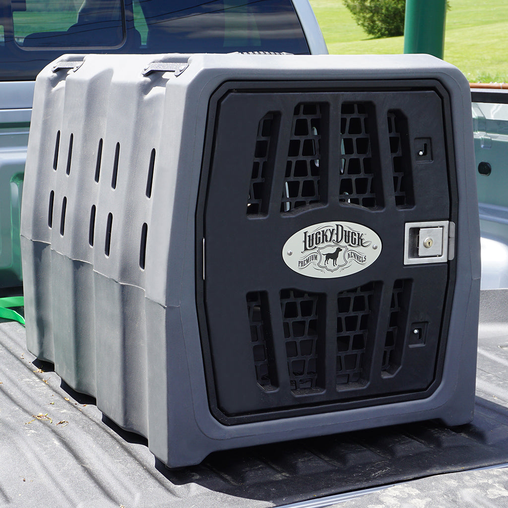 Lucky Duck Intermediate Dog Kennel
