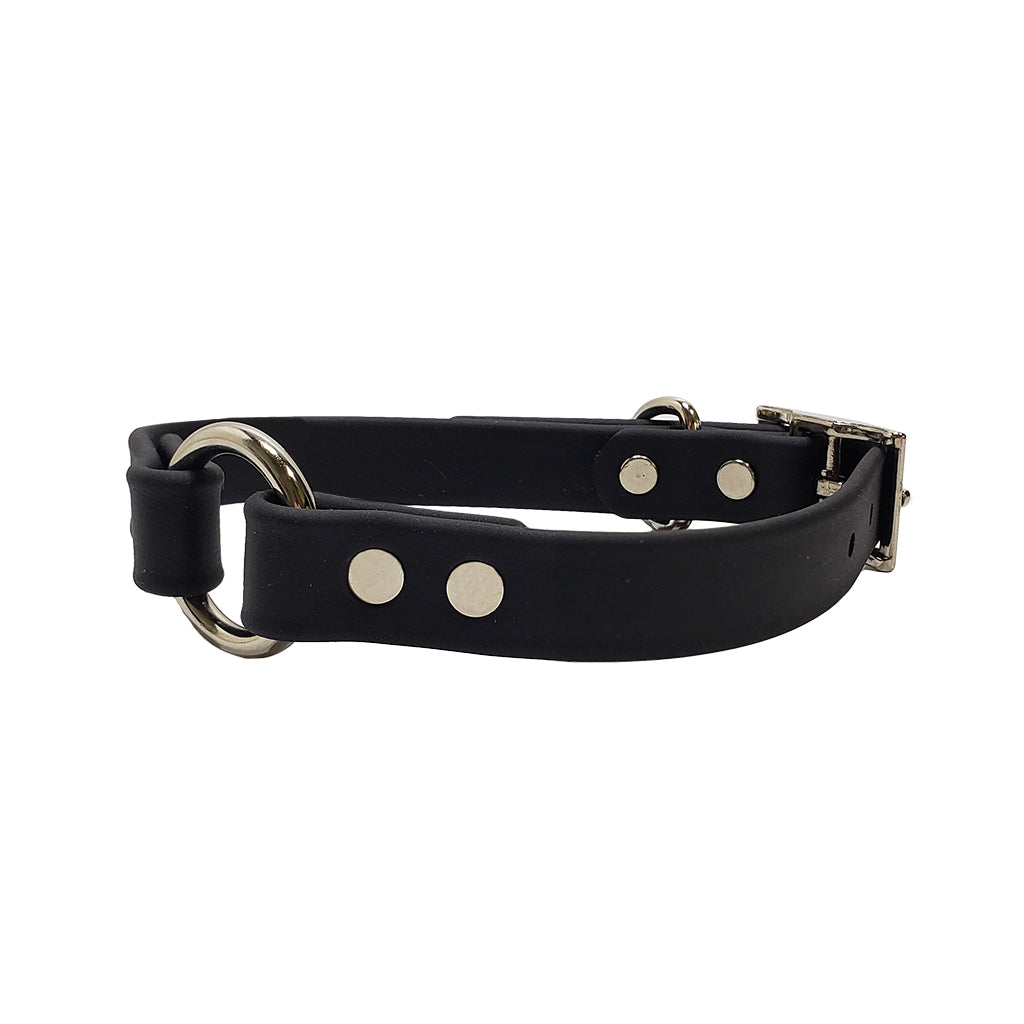 LCS Leather Feel Collar 3/4in O-Ring