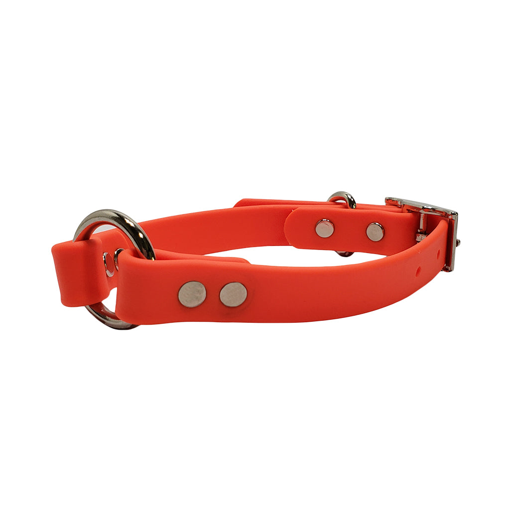 LCS Leather Feel Collar 3/4in O-Ring