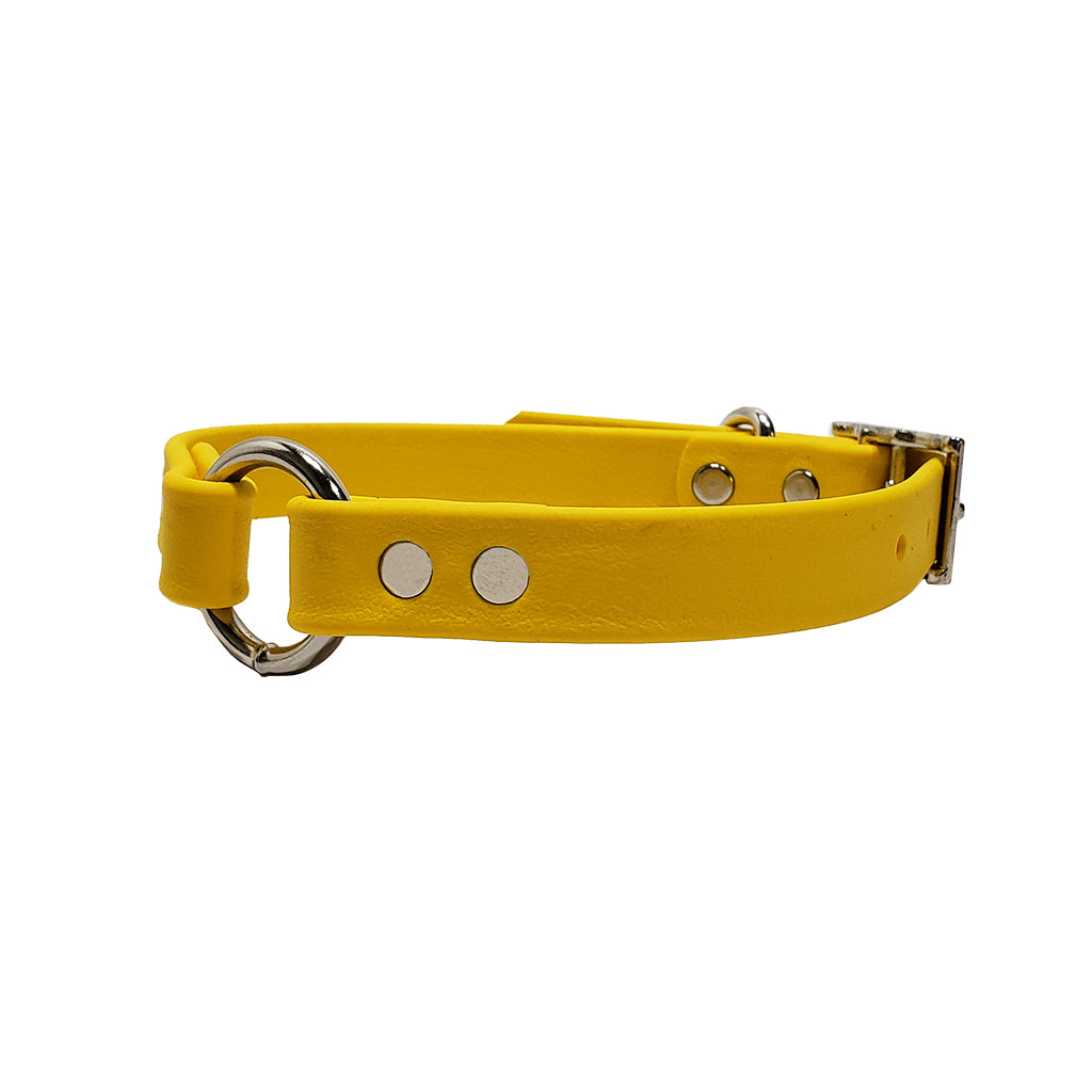 LCS Leather Feel Collar 3/4in O-Ring
