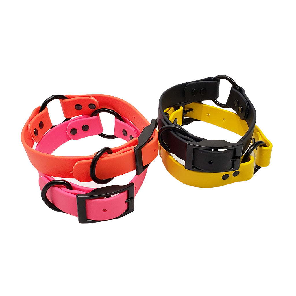 Omnipet LCS Leather Feel 1" Collar with Black Hardware – Hunting Dog Supply