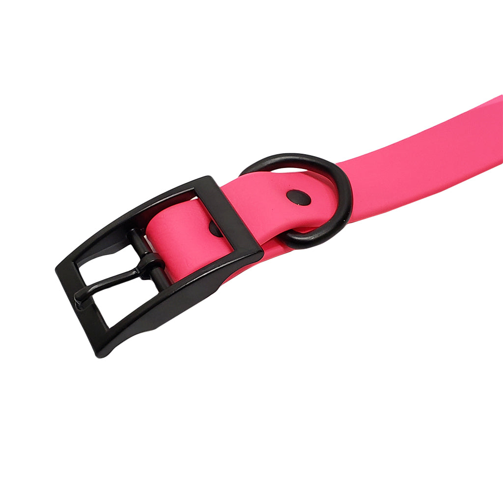 LCS Leather Feel 1" Collar with Black Hardware