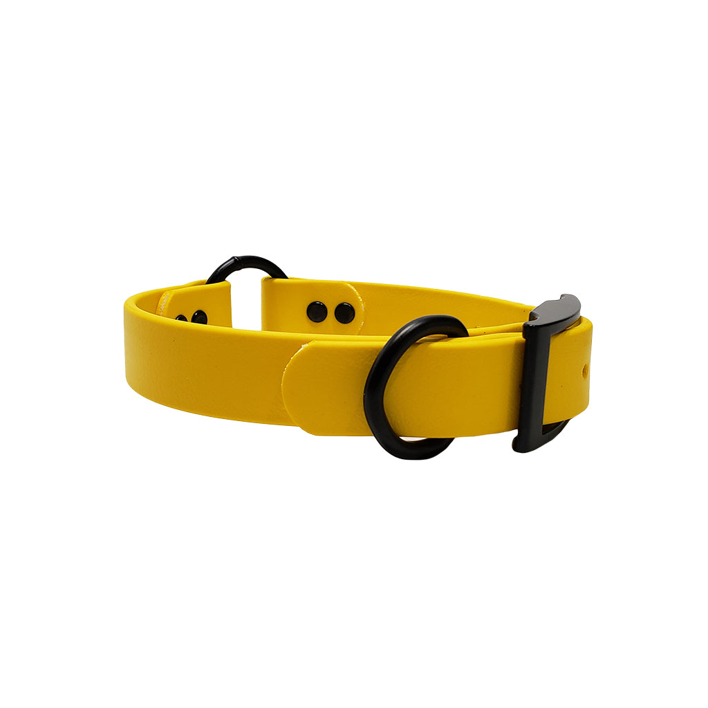 LCS Leather Feel 1" Collar with Black Hardware