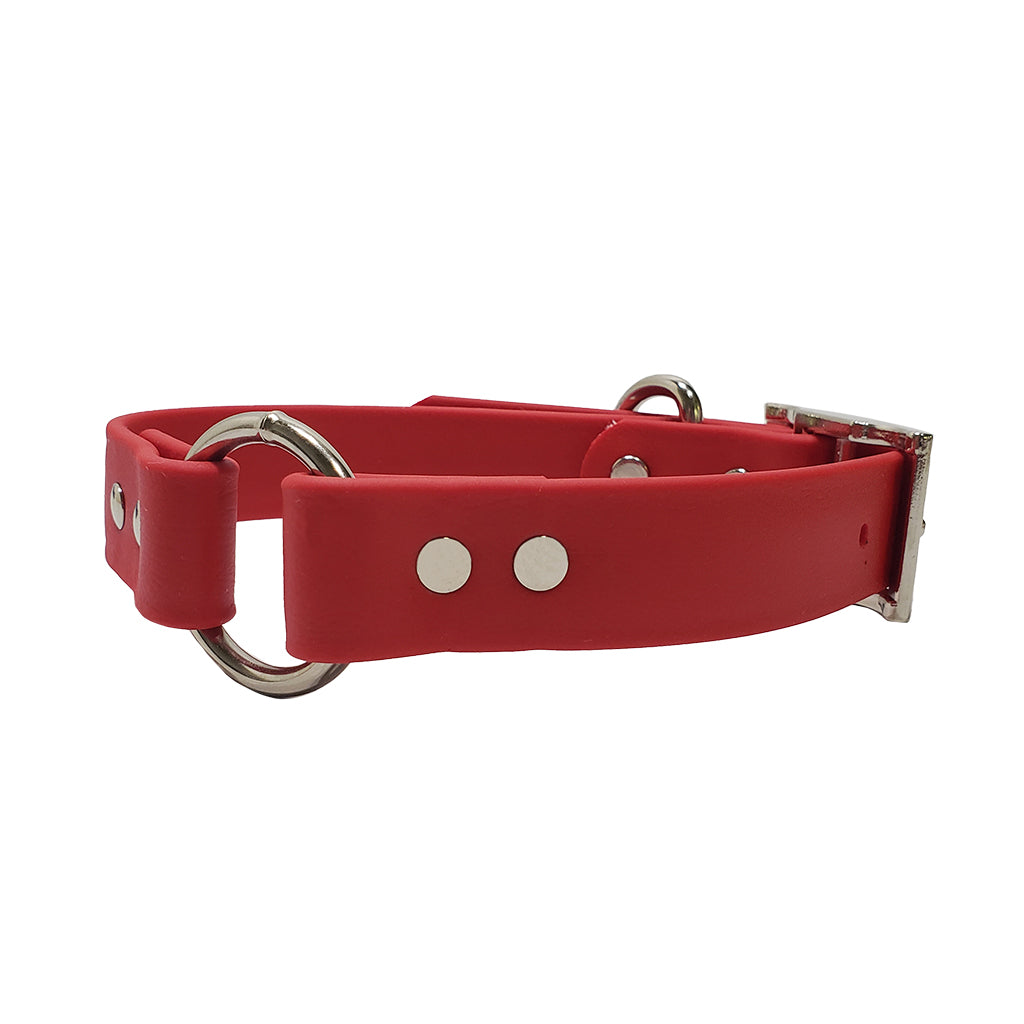 LCS Leather Feel 1" O-Ring Collars