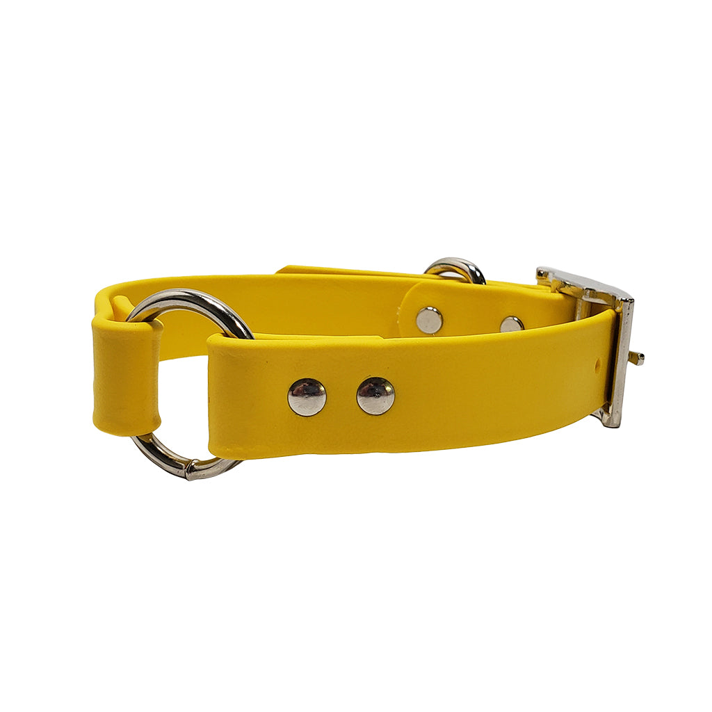 LCS Leather Feel 1" O-Ring Collars