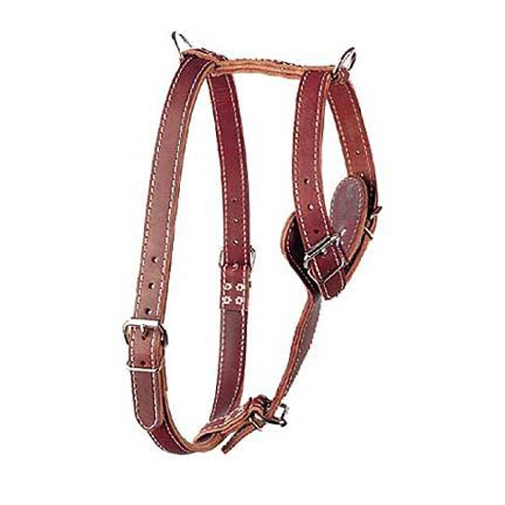 Omnipet LCS Premium Latigo Dog Roading Harness – Hunting Dog Supply