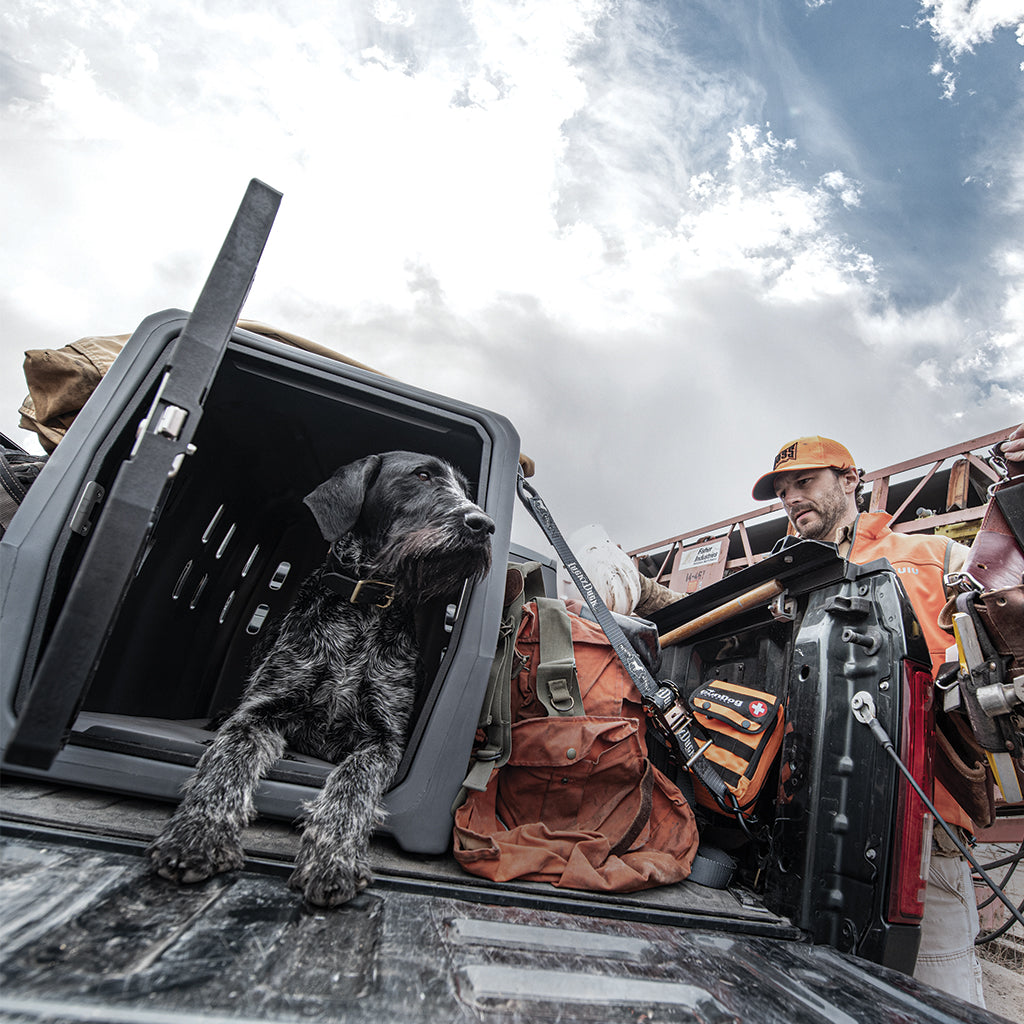 Lucky Duck Intermediate Dog Kennel