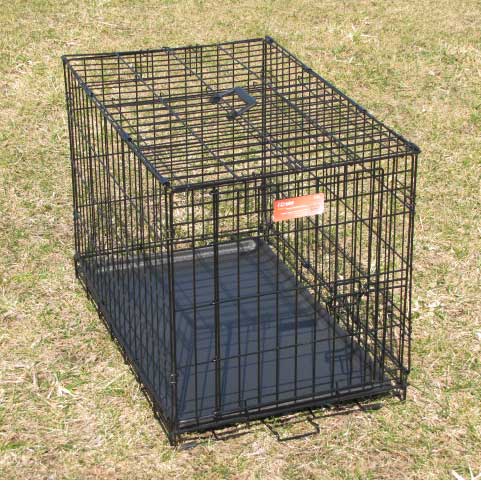 MidWest Metal Folding Dog Crate - Single Door