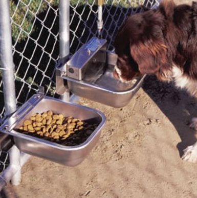 Nelson Nelson Automatic Dog Waterer and Feeding Pan Kit – Hunting Dog Supply