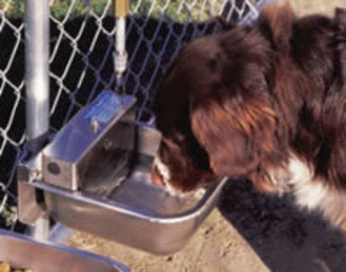 Nelson Nelson Automatic Dog Waterer Model 1200 – Hunting Dog Supply