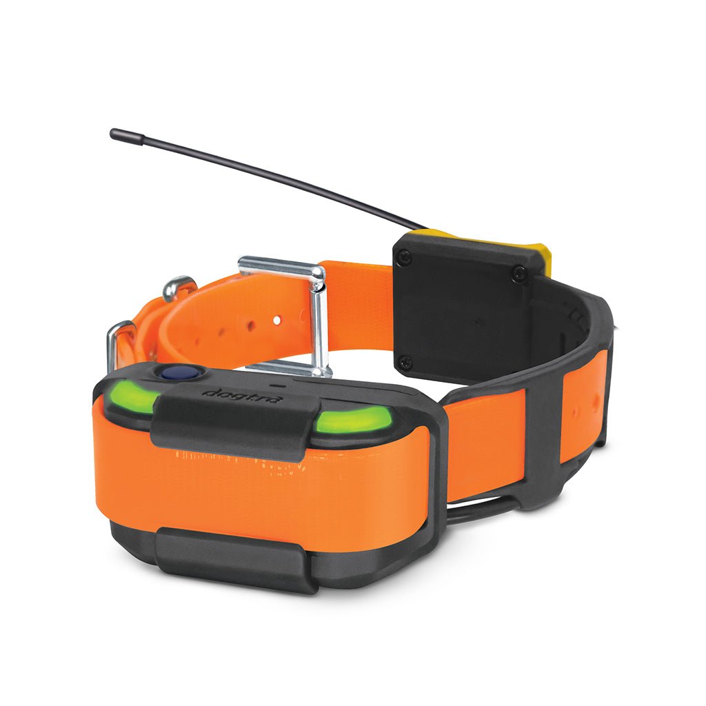 Dogtra System Dogtra Pathfinder 2 Dog GPS Tracking and Training System