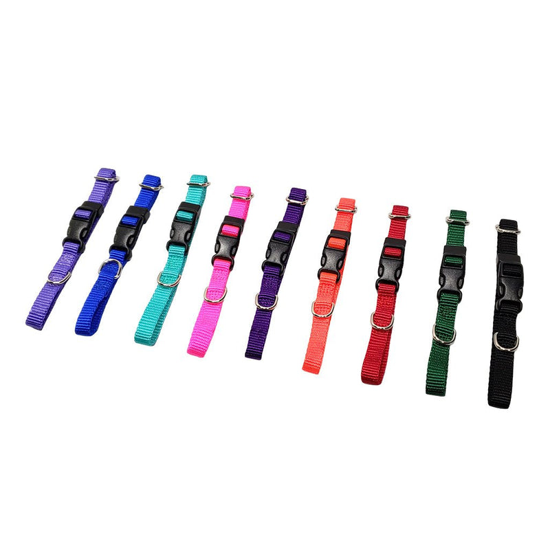 Omnipet LCS Pick-O-The-Litter Puppy Collars – Hunting Dog Supply