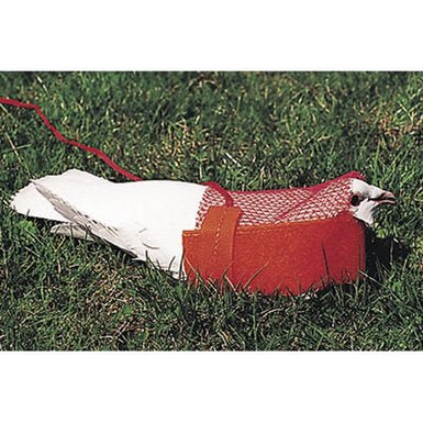 Scott Pet Supplies Pigeon Restraint Harness and Cord – Hunting Dog Supply