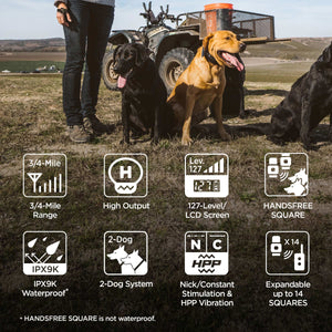 Dogtra 1902S Handsfree Plus E-Collar System