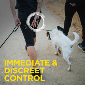 Dogtra 1902S Handsfree Plus E-Collar System