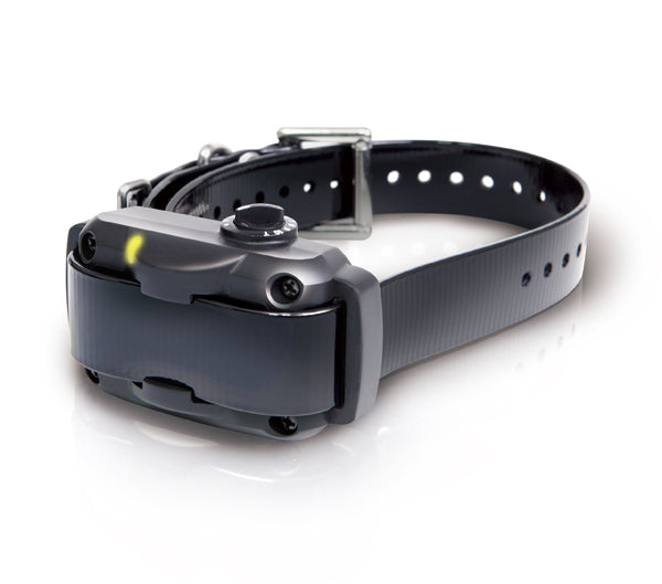 Dogtra Dogtra YS600 No Bark Collar – Hunting Dog Supply