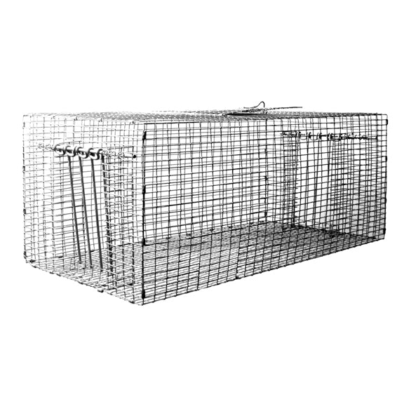 Lion Country Supply LCS Pigeon Trap – Hunting Dog Supply