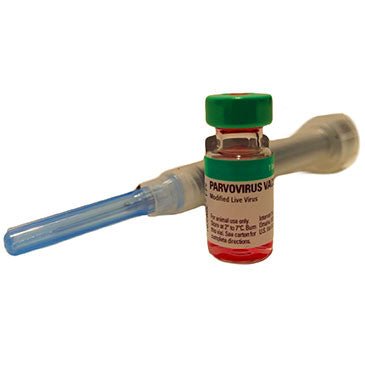 Lambert Vet Supply Parvo Vaccine With Syringe – Hunting Dog Supply