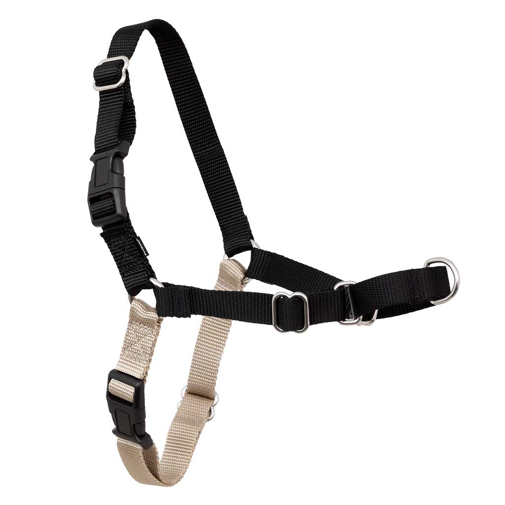 Petsafe Easy Walk Harness Large