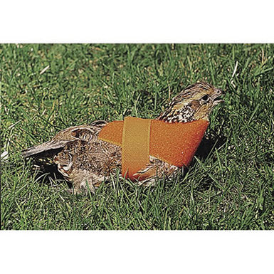 Scott Pet Supplies Quail Restraint Harness – Hunting Dog Supply