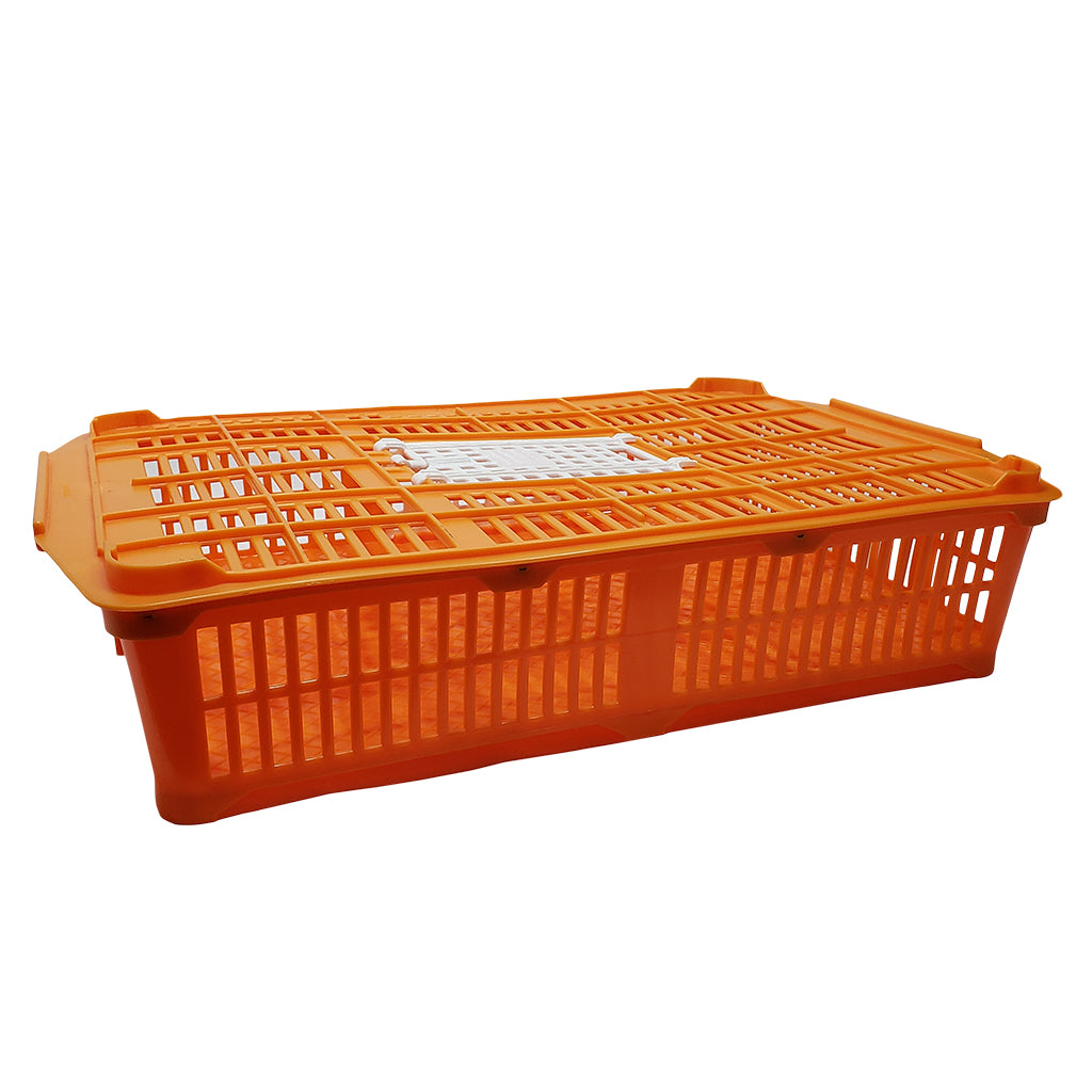LCS Plastic Quail Crate
