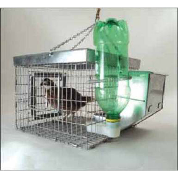 Lion Country Supply LCS Recall Birdhouse – Hunting Dog Supply