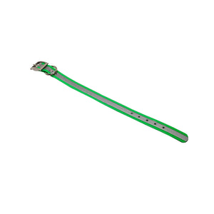 LCS Reflective Dayglo 1 Inch D-Ring Collar