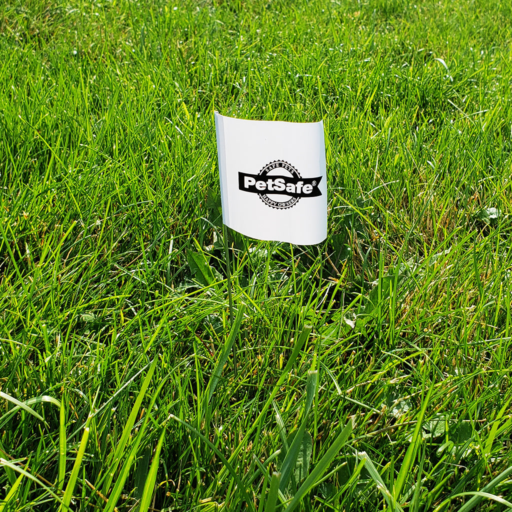 Boundry Flags 50 Pk.