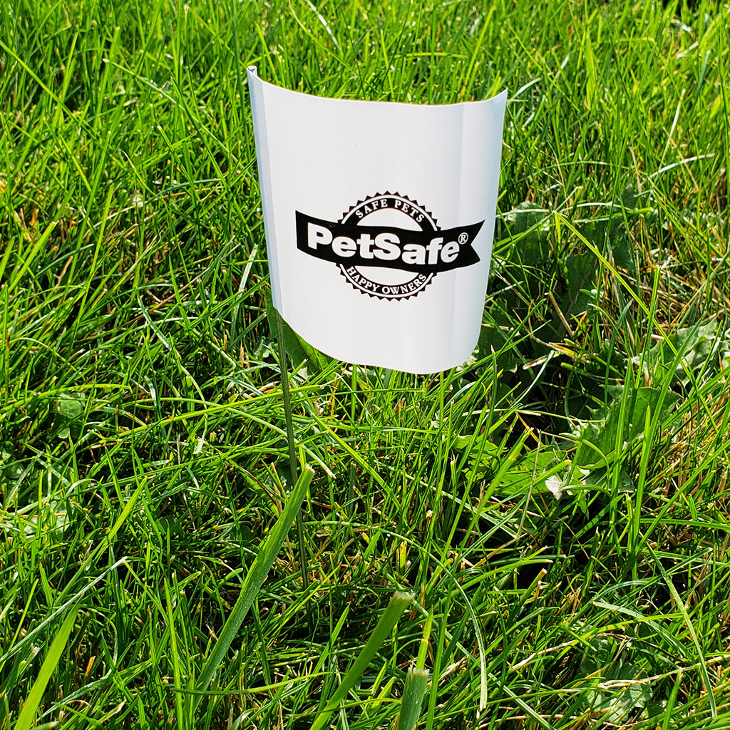 Boundry Flags 50 Pk.