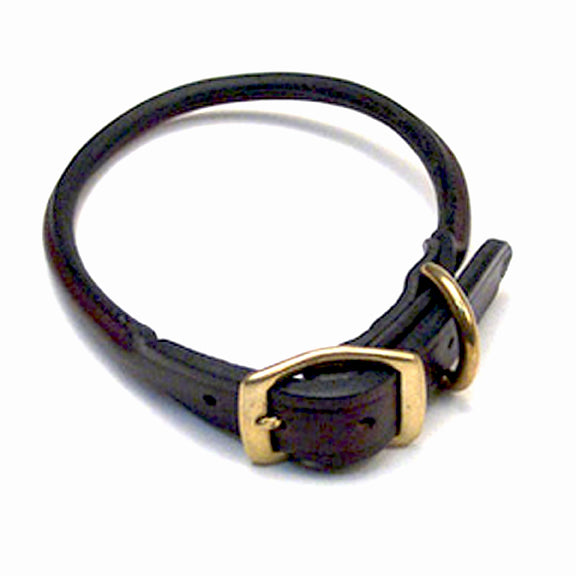 Lion Country Supply LCS Havanna Presentation Rolled Collar – Hunting Dog Supply