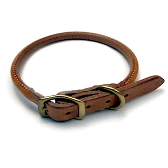 Lion Country Supply Russet Presentation Rolled Collar – Hunting Dog Supply