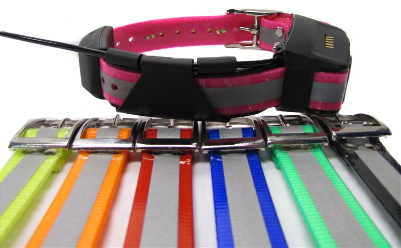 Omnipet LCS Hi-Vis Reflective Small Dog Collar Strap – Hunting Dog Supply