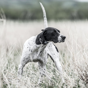 SportDOG SportHunter 1225  X-Series