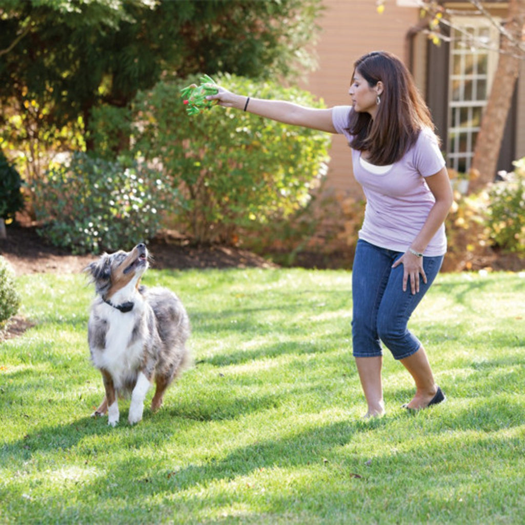 SportDOG Yard Max Extra Receiver