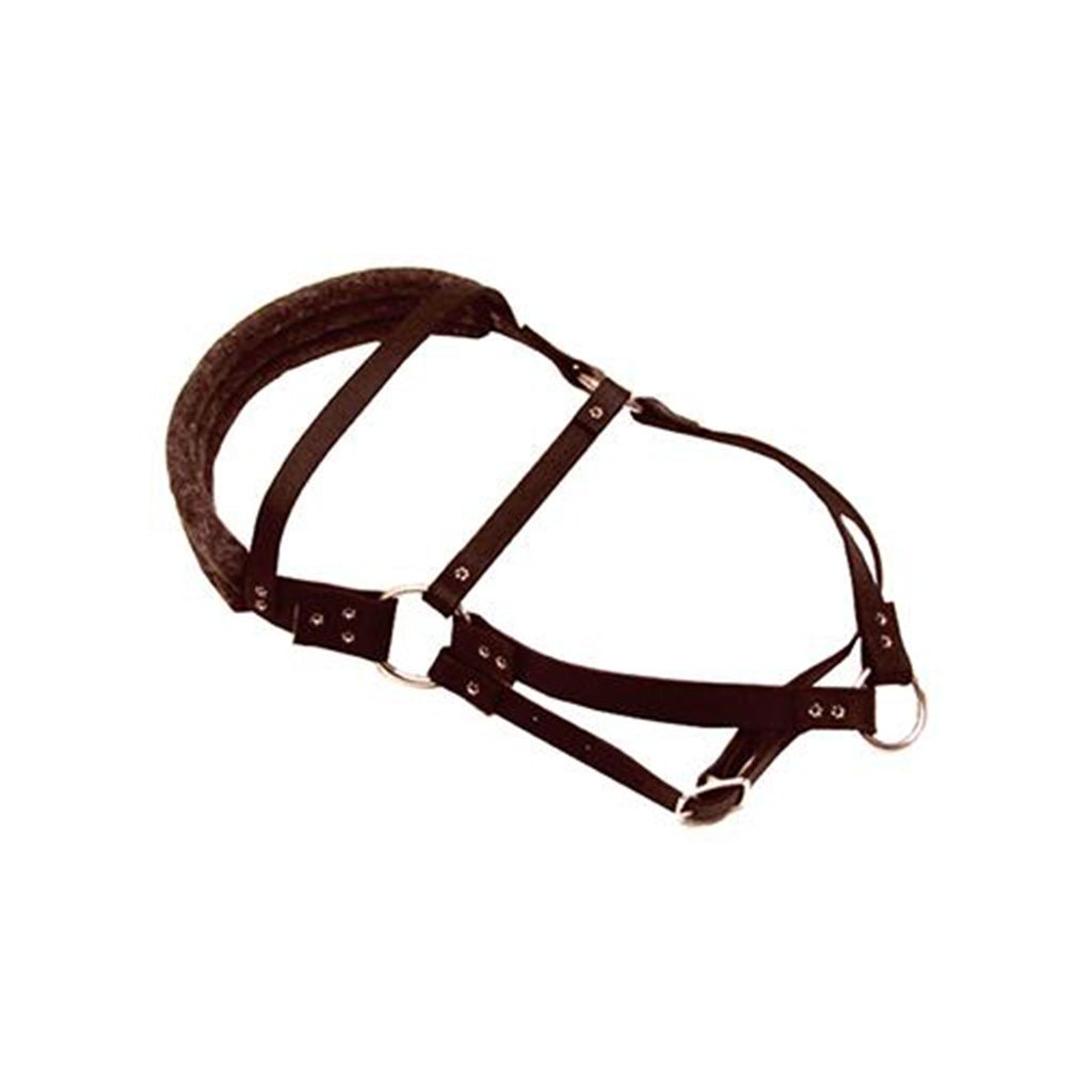 Lion Country Supply Deluxe Padded Roading Harness – Hunting Dog Supply