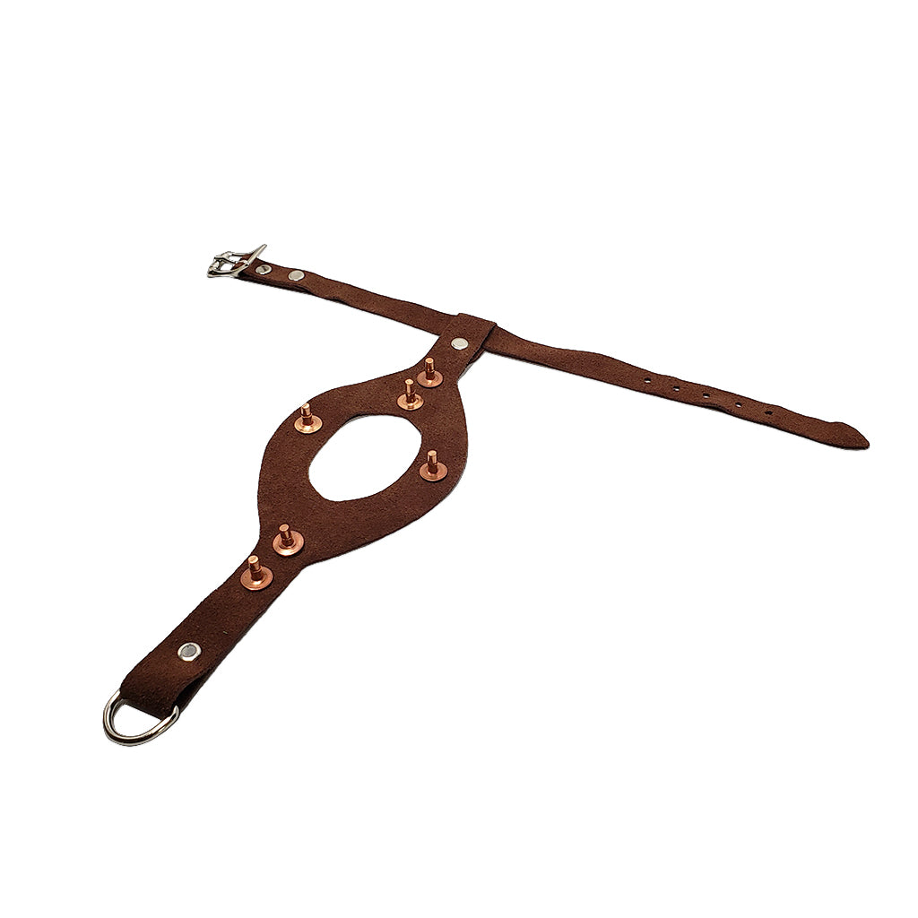 Omnipet Studded Pigeon Harness – Hunting Dog Supply