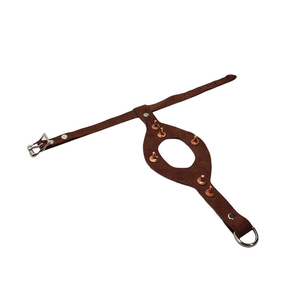 Studded Pigeon Harness