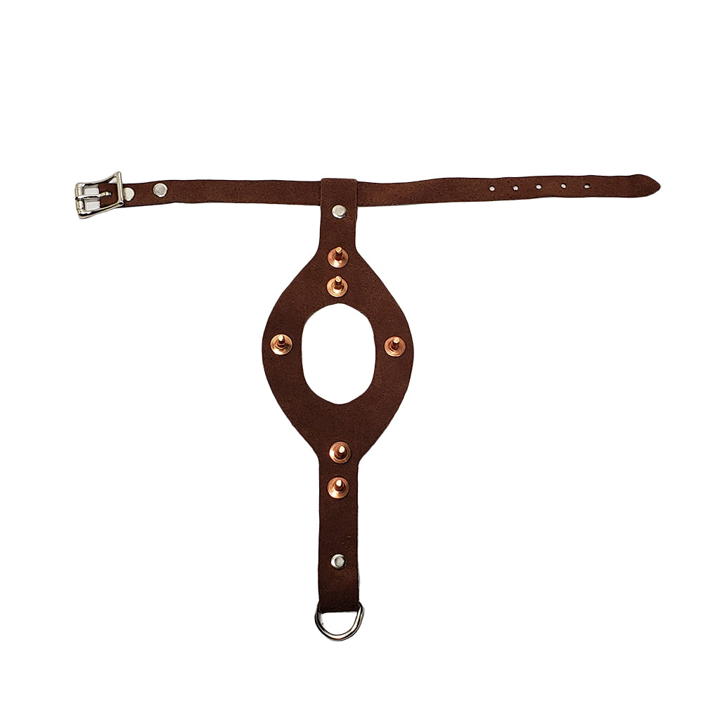 Studded Pigeon Harness