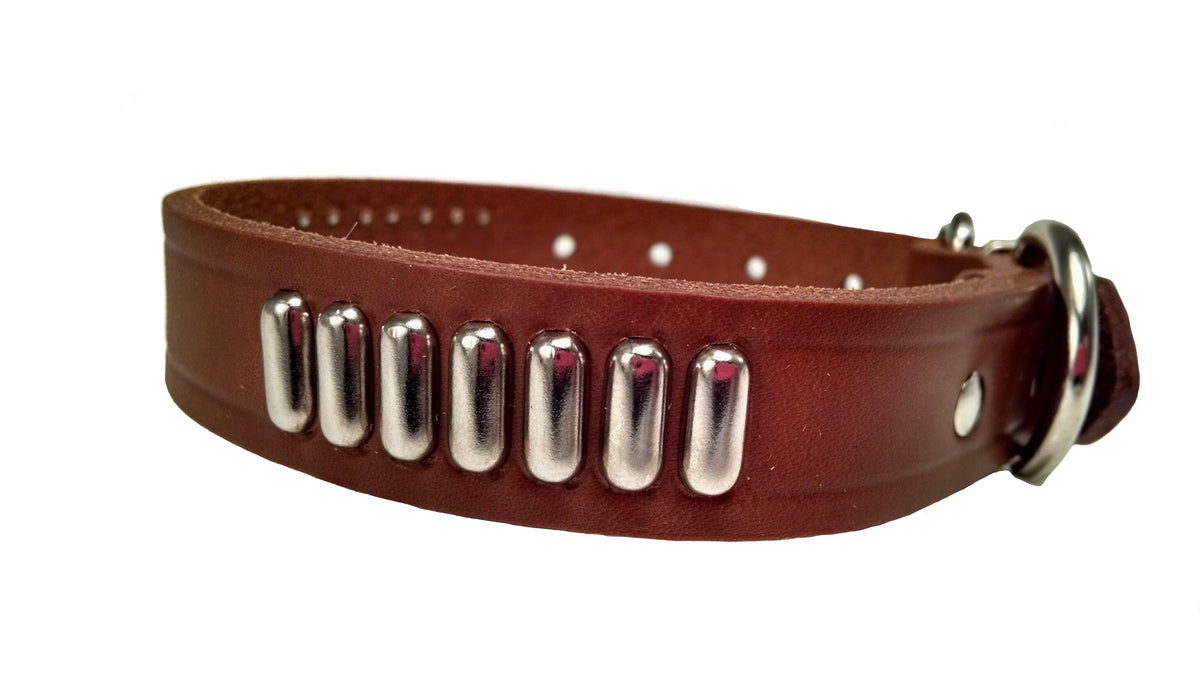 Omnipet LCS Leather Studded Collar – Hunting Dog Supply