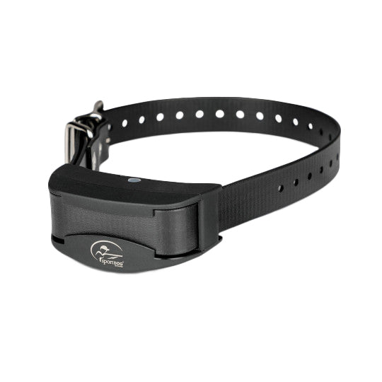 Sportdog sbcr new arrivals